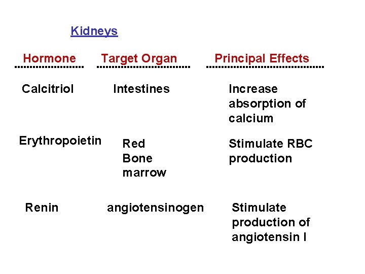 Kidneys Hormone Target Organ Calcitriol Intestines Erythropoietin Renin Red Bone marrow angiotensinogen Principal Effects