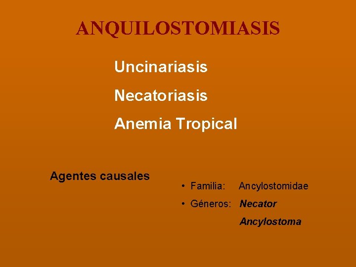 ANQUILOSTOMIASIS Uncinariasis Necatoriasis Anemia Tropical Agentes causales • Familia: Ancylostomidae • Géneros: Necator Ancylostoma