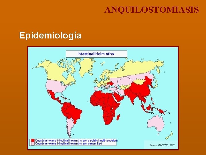 ANQUILOSTOMIASIS Epidemiología 