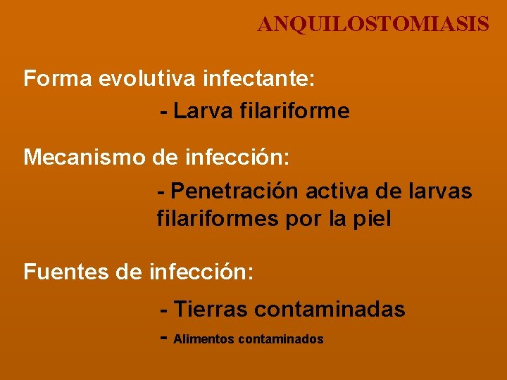 ANQUILOSTOMIASIS Forma evolutiva infectante: - Larva filariforme Mecanismo de infección: - Penetración activa de