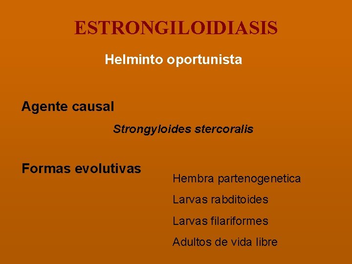 ESTRONGILOIDIASIS Helminto oportunista Agente causal Strongyloides stercoralis Formas evolutivas Hembra partenogenetica Larvas rabditoides Larvas