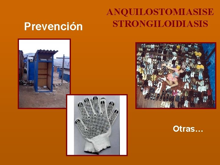 Prevención ANQUILOSTOMIASISE STRONGILOIDIASIS Otras… 