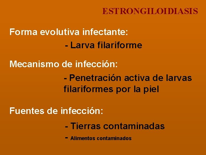 ESTRONGILOIDIASIS Forma evolutiva infectante: - Larva filariforme Mecanismo de infección: - Penetración activa de