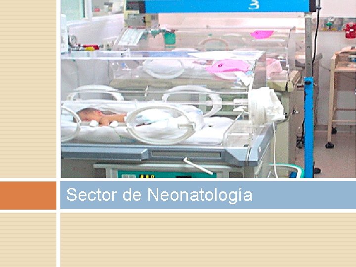 Sector de Neonatología 