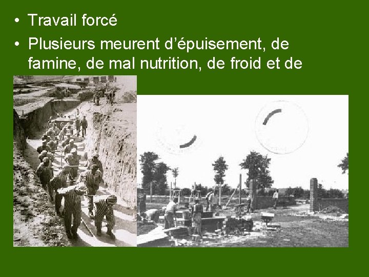  • Travail forcé • Plusieurs meurent d’épuisement, de famine, de mal nutrition, de