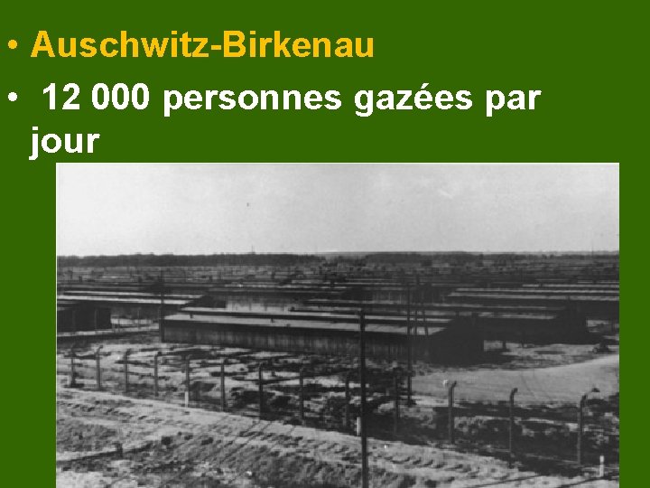  • Auschwitz-Birkenau • 12 000 personnes gazées par jour 