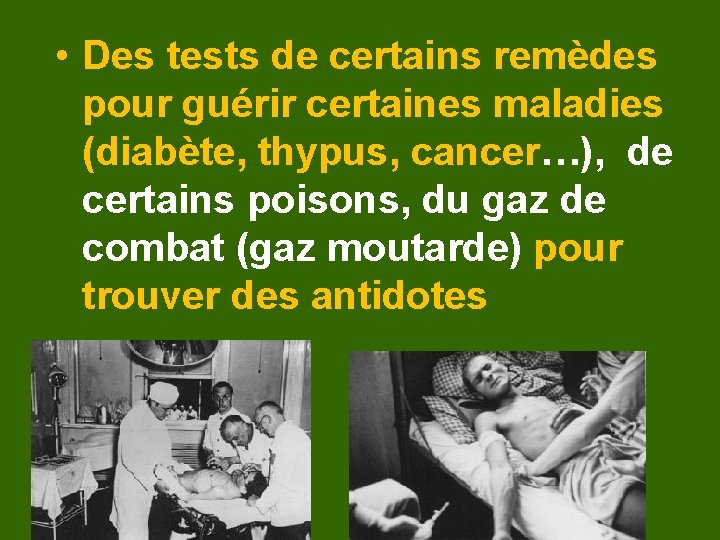  • Des tests de certains remèdes pour guérir certaines maladies (diabète, thypus, cancer…),