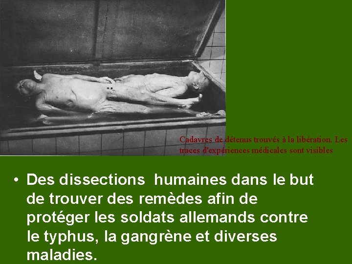 Cadavres de détenus trouvés à la libération. Les traces d'expériences médicales sont visibles •