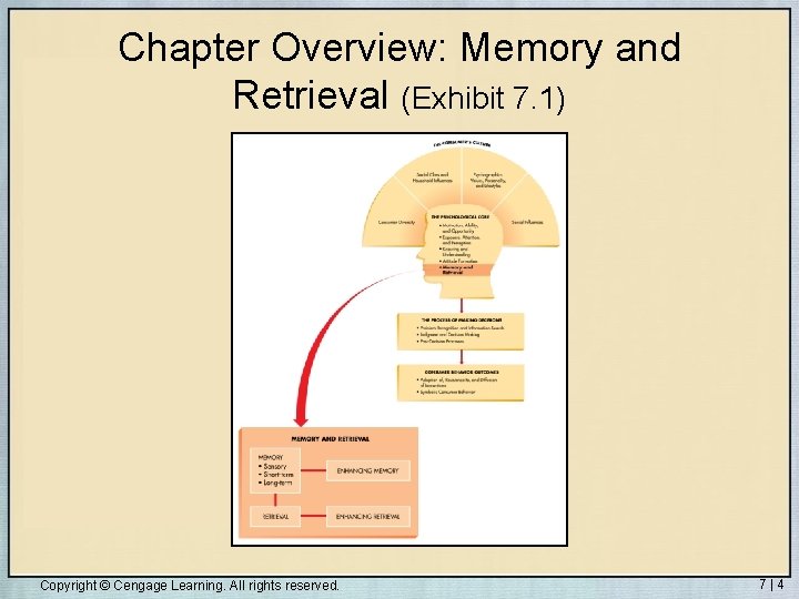 Chapter Overview: Memory and Retrieval (Exhibit 7. 1) Copyright © Cengage Learning. All rights