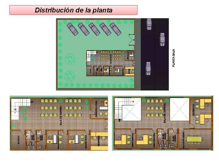 Distribución de la planta 