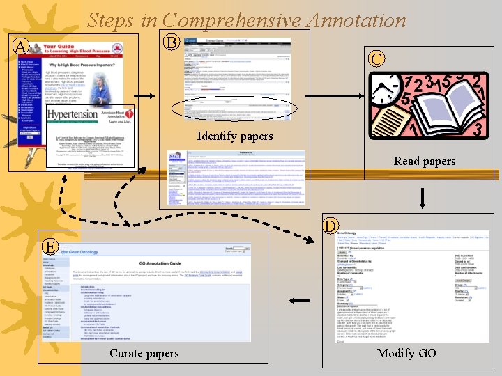 Steps in Comprehensive Annotation B A C Identify papers Read papers D E Curate