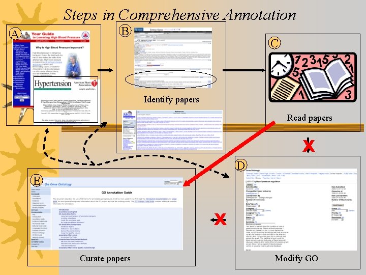 Steps in Comprehensive Annotation B A C Identify papers Read papers X D E