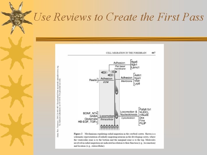 Use Reviews to Create the First Pass 