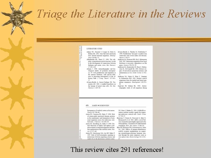 Triage the Literature in the Reviews This review cites 291 references! 