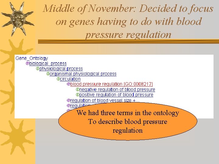 Middle of November: Decided to focus on genes having to do with blood pressure