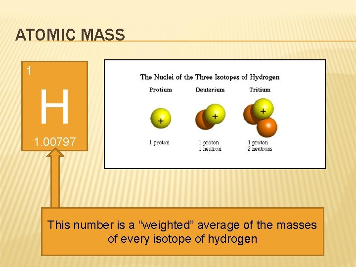 ATOMIC MASS 1 H 1. 00797 This number is a “weighted” average of the