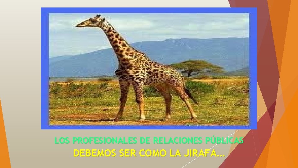 LOS PROFESIONALES DE RELACIONES PÚBLICAS DEBEMOS SER COMO LA JIRAFA… 