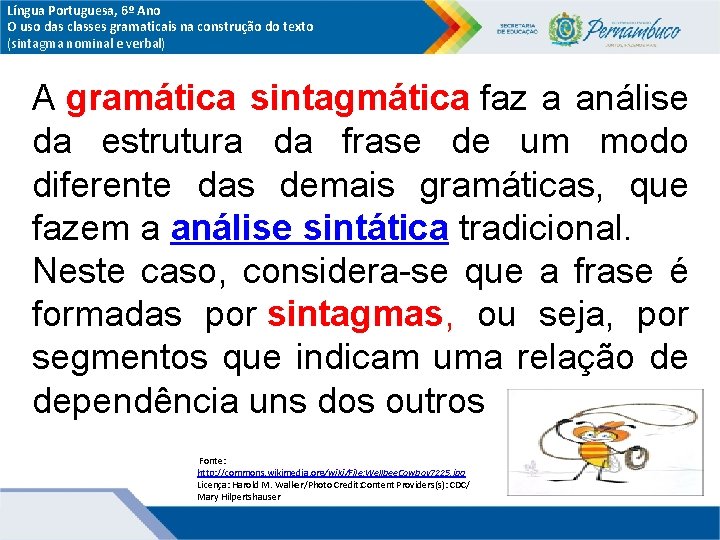 Língua Portuguesa, 6º Ano O uso das classes gramaticais na construção do texto (sintagma Língua Portuguesa, 6º Ano O uso das classes gramaticais na construção do texto (sintagma