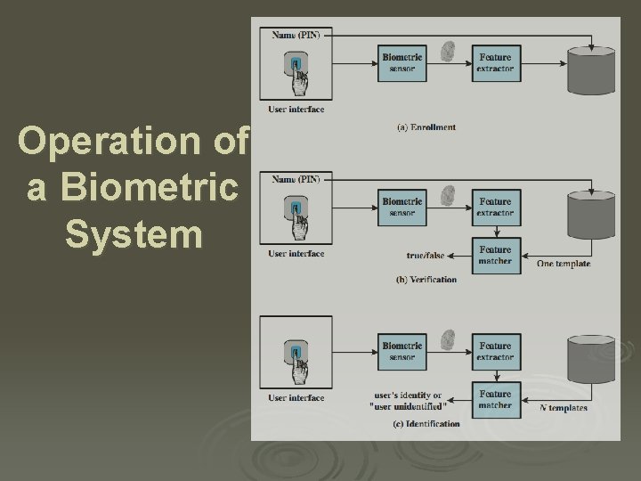 Operation of a Biometric System 