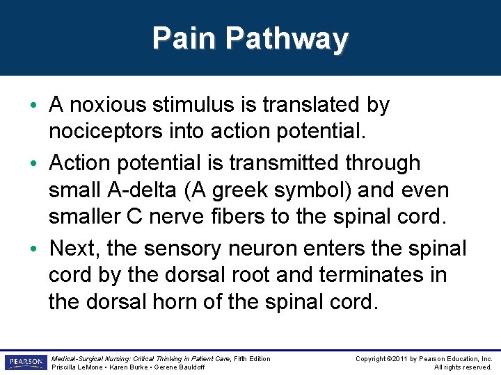 Pain Pathway • A noxious stimulus is translated by nociceptors into action potential. •