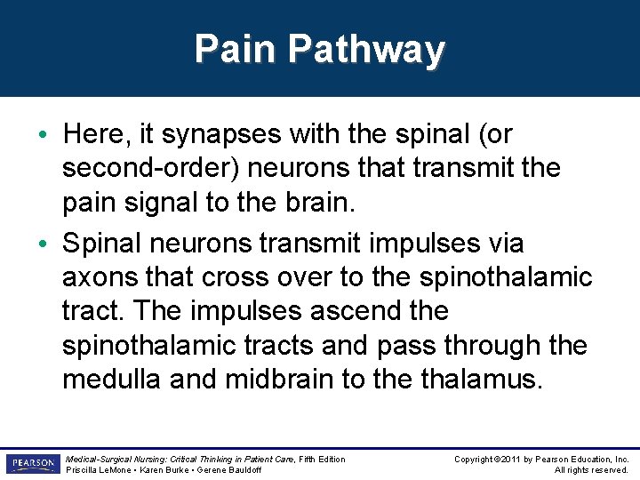 Pain Pathway • Here, it synapses with the spinal (or second-order) neurons that transmit