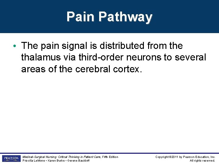 Pain Pathway • The pain signal is distributed from the thalamus via third-order neurons