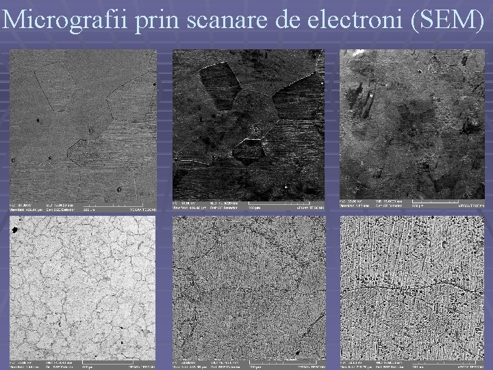 Micrografii prin scanare de electroni (SEM) 