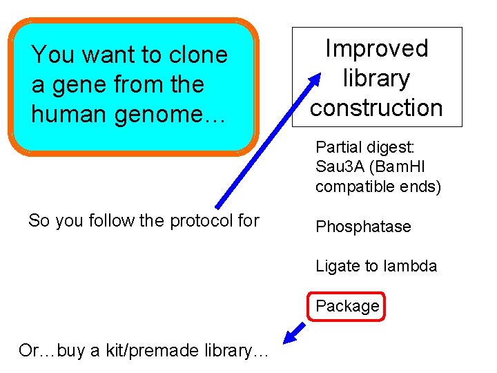 You want to clone a gene from the human genome… Improved library construction Partial You want to clone a gene from the human genome… Improved library construction Partial