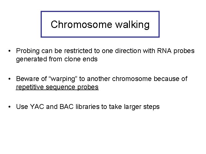 Chromosome walking • Probing can be restricted to one direction with RNA probes generated Chromosome walking • Probing can be restricted to one direction with RNA probes generated