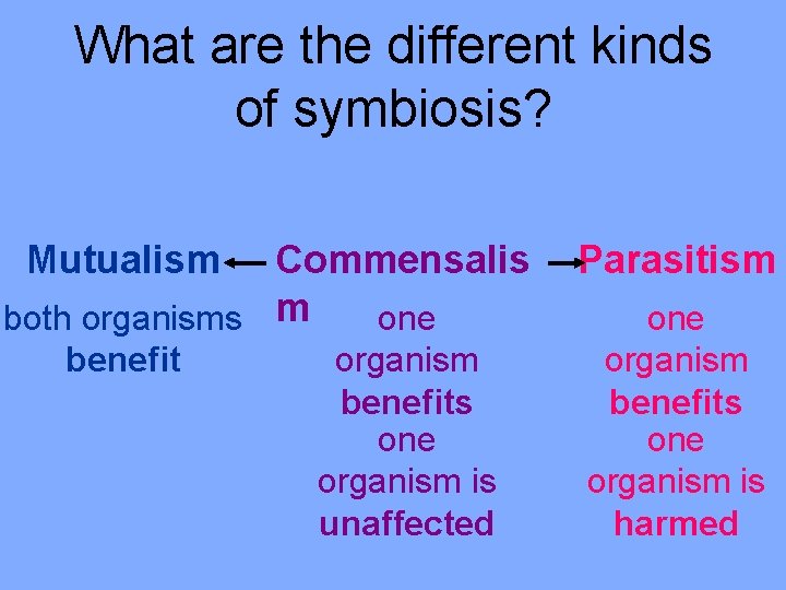 AGENDA What is symbiosis What are the different