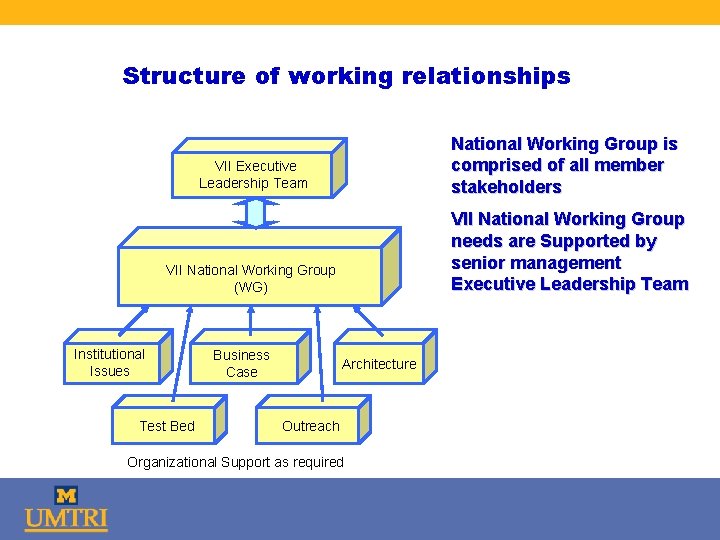 Structure of working relationships National Working Group is comprised of all member stakeholders VII