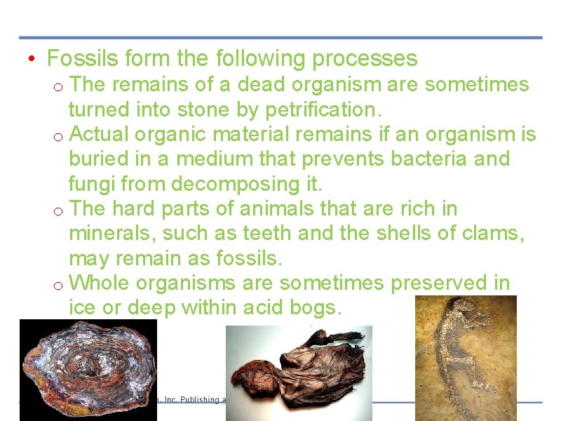  • Fossils form the following processes o The remains of a dead organism