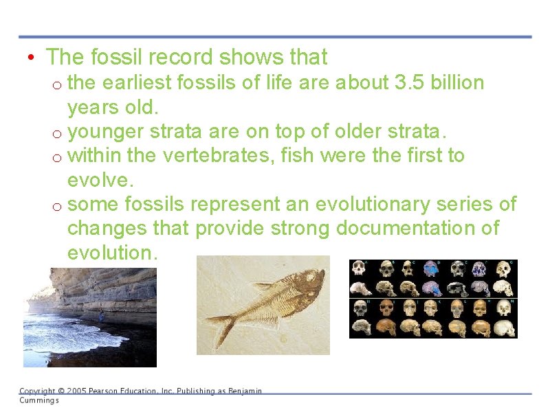  • The fossil record shows that o the earliest fossils of life are