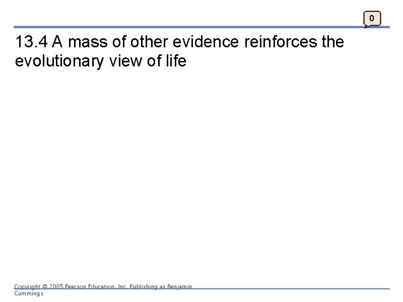 0 13. 4 A mass of other evidence reinforces the evolutionary view of life