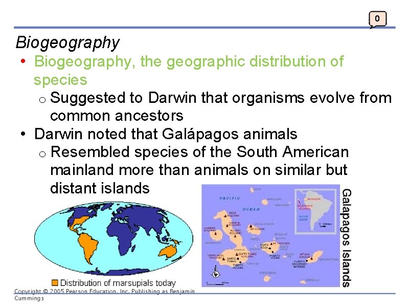 0 Biogeography • Biogeography, the geographic distribution of species o Suggested to Darwin that