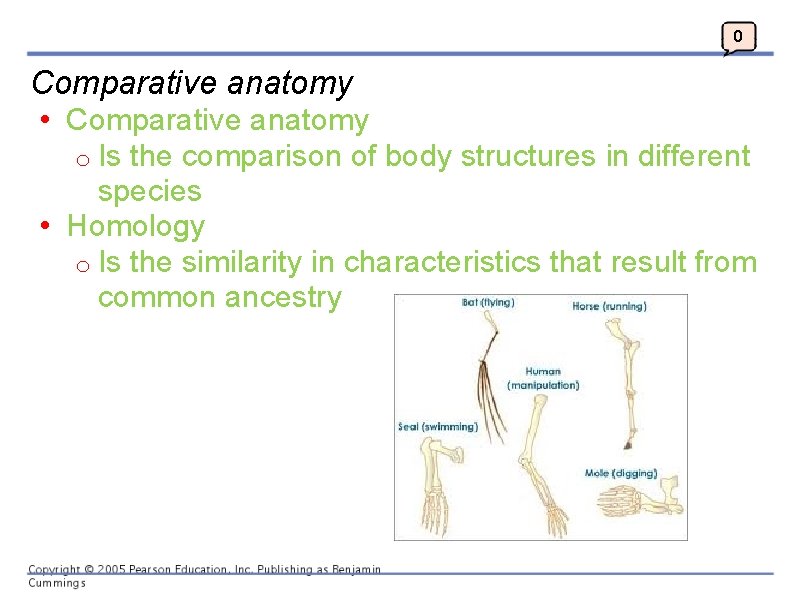 0 Comparative anatomy • Comparative anatomy o Is the comparison of body structures in