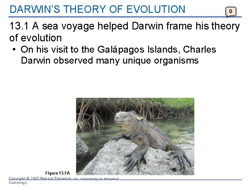 DARWIN’S THEORY OF EVOLUTION 0 13. 1 A sea voyage helped Darwin frame his