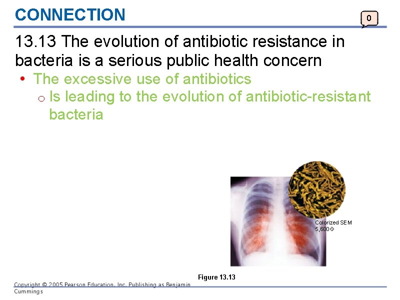 CONNECTION 0 13. 13 The evolution of antibiotic resistance in bacteria is a serious