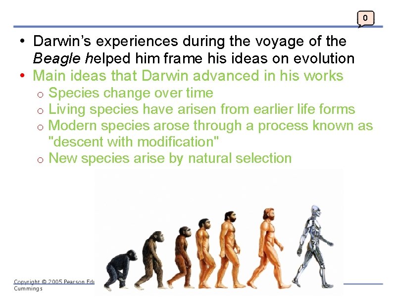 0 • Darwin’s experiences during the voyage of the Beagle helped him frame his