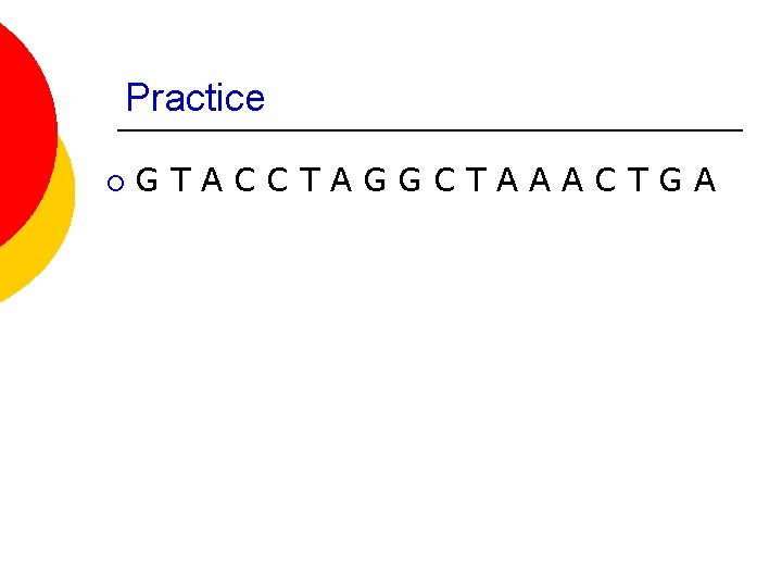 Transcription and Translation Protein Synthesis Replication Before a