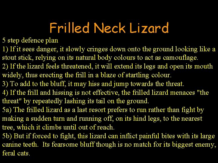 Frilled Neck Lizard 5 step defence plan 1) If it sees danger, it slowly