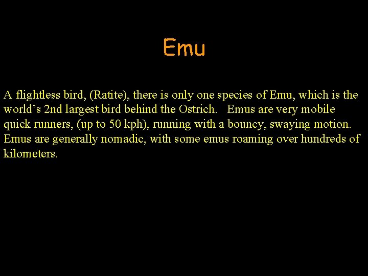 Emu A flightless bird, (Ratite), there is only one species of Emu, which is