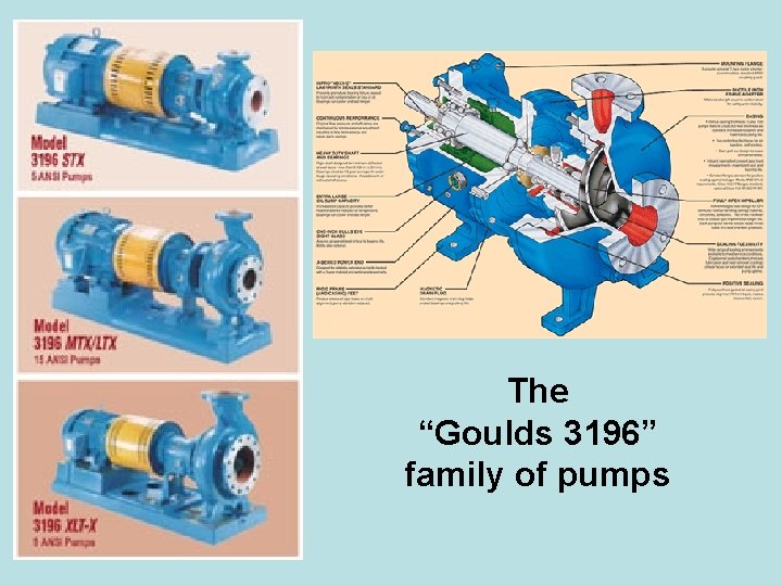 The “Goulds 3196” family of pumps 