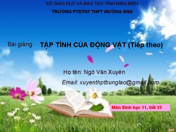 SỞ GIÁO DỤC VÀ ĐÀO TẠO TỈNH ĐIỆN BIÊN TRƯỜNG PTDTNT THPT MƯỜNG ẢNG