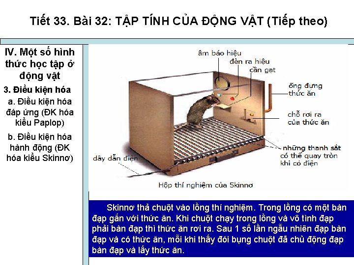 Tiết 33. Bài 32: TẬP TÍNH CỦA ĐỘNG VẬT (Tiếp theo) IV. Một số