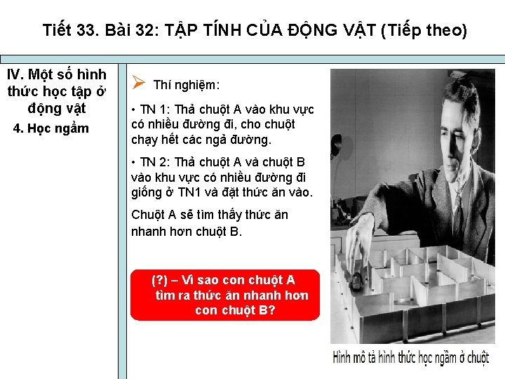 Tiết 33. Bài 32: TẬP TÍNH CỦA ĐỘNG VẬT (Tiếp theo) IV. Một số