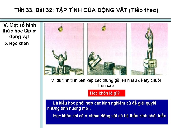 Tiết 33. Bài 32: TẬP TÍNH CỦA ĐỘNG VẬT (Tiếp theo) IV. Một số