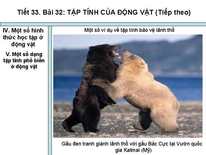 Tiết 33. Bài 32: TẬP TÍNH CỦA ĐỘNG VẬT (Tiếp theo) IV. Một số