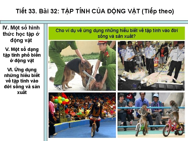 Tiết 33. Bài 32: TẬP TÍNH CỦA ĐỘNG VẬT (Tiếp theo) IV. Một số