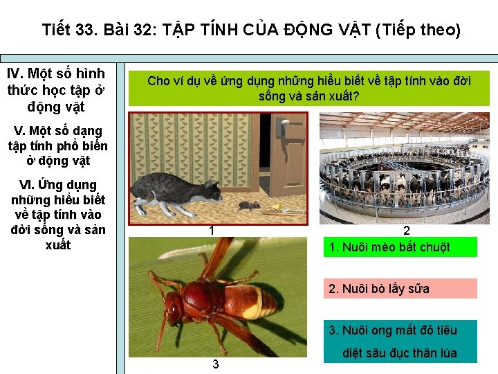 Tiết 33. Bài 32: TẬP TÍNH CỦA ĐỘNG VẬT (Tiếp theo) IV. Một số